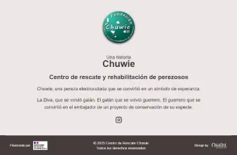 Chuwie